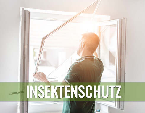 rein-insektenschutz-einbau